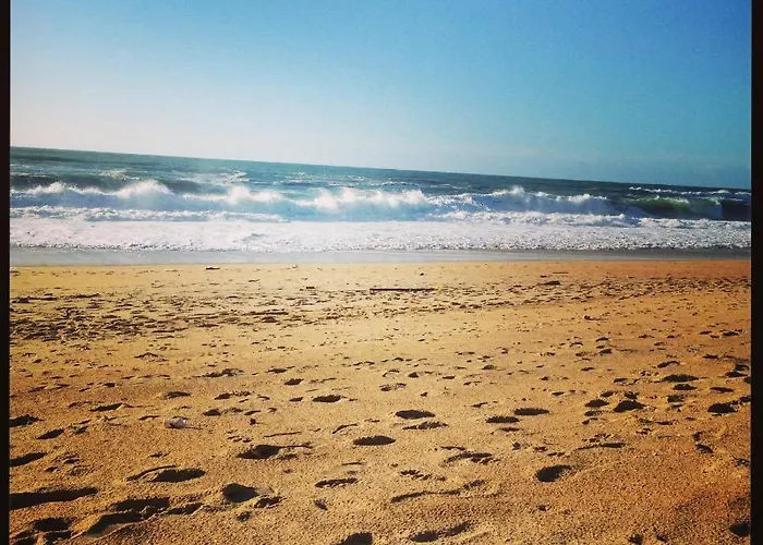 Lejlighed Entre Et Ocean A Hossegor